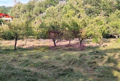 Vila de vanzare cu 6 camere si teren de 5116 mp in Cornu, Prahova - 36