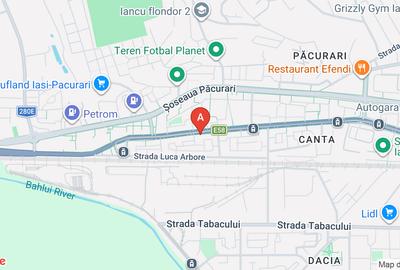 Apartament cu 3 camere decomandat, mobilat în Păcurari
