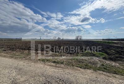 Teren intravilan, 501 mp, Zona Nazna - 3