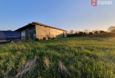 COMISION 0% Casa individuala cu 5 camere si teren de 3489 mp Percosova - Gataia - 23