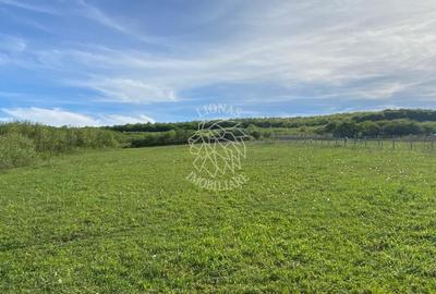 Teren 2160 mp - pretabil pentru cabana - investitie - Jelna - 1