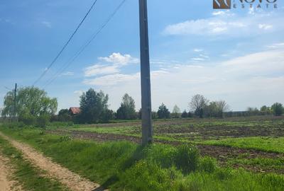 Teren 11.000 mp | Gradistea | Oportunitate Dezvoltare - 6
