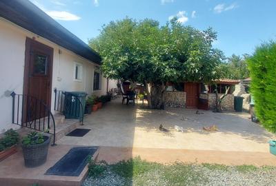 Vanzare 3 case moderne + 3 anexe si 2000 mp teren gradina, pomi in Tuzla la mare - 1