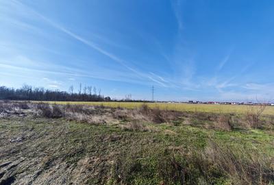 OFERTĂ VÂNZARE TEREN INTRAVILAN – MĂGURELE, STRADA STEJARULUI - 5