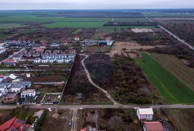 Vanzare teren intravilan 10.000mp Afumati - Strada Teiului - 2