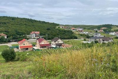 Teren intravilan zona Gh Doja, panorama lac , sup 1050 mp, front 25 ml - 1