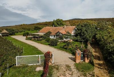 Proprietate istorică , crama +vie DOC + distilerie +loc. evenimente+ 20000 vin - 1