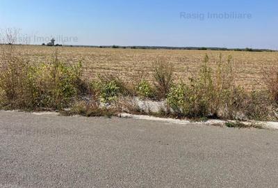 Teren Construcții intravilan de 20001 mp, în Corbeanca