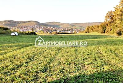 De vanzare 2 terenuri de 29.500 mp si 1.400 mp.29 euro mp - 1