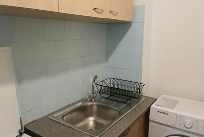 Dristor, garsoniera la parter, metrou 1 minut, mobilata, utilata - 15