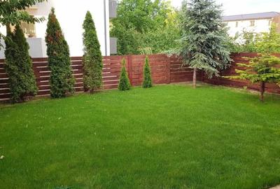 Triplex cod 160434 tel 0731226666 - 13