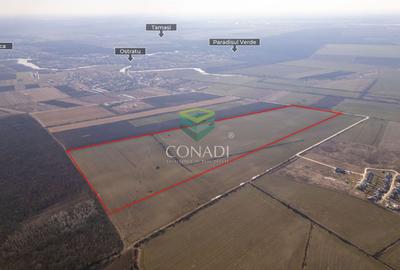 Corbeanca- Teren 45 Ha cu PUZ aprobat - 4