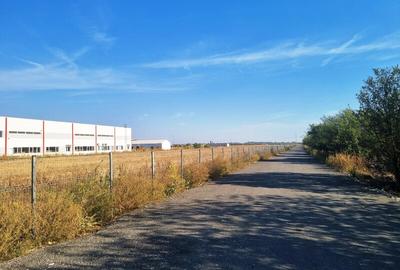 Vanzare Teren industrial  Magurele 4000mp - 3