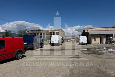 Teren intravilan | 1648 mp | Toate utilitatile | Industrial - 3