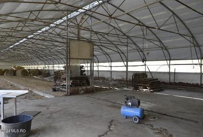 Bogati - Glimbocel, ferma zoo, cladiri autorizate DSV, teren 8766 mp! - 4