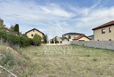 Teren 774 mp in Dumbravita - 1