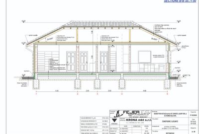 Casa Individuala parter, 3 dormitoare, 365mp teren - la pret de garsoniera! - 9