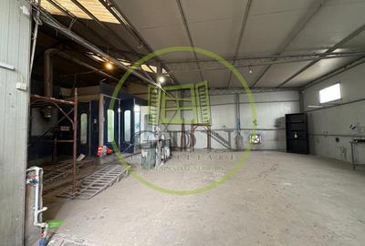 Hala-Vopsitorie auto, 150 mp, Carcea, Zona Spalatoriei - 3