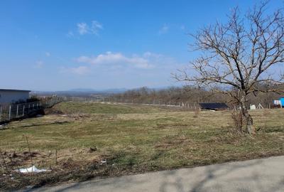 Teren intravilan 1830 mp , D - 31 ml , zona rezidentiala - 3