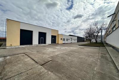 Hale/ spatii de inchiriat in jud. Iasi, Pascani, de la 500mp la 5000mp - 7