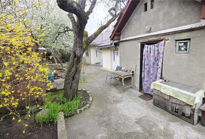 CASA 136 MP TEREN 561 MP FRONT 14 ML ZORILOR  MARINESCU - 4