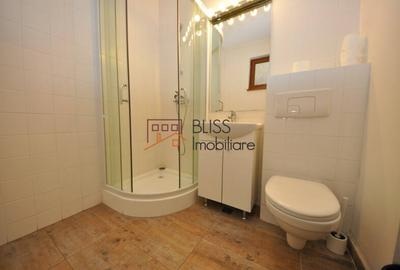 Apartament 2 camere în zona Domenii - 10