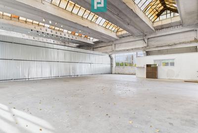 Spațiu industrial, 218 mp în Vest