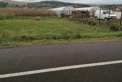 Teren Construcții intravilan de 1706 mp, în Sud-Vest