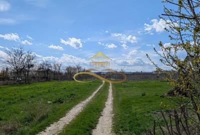 TEREN INTRAVILAN, SERBANESTI - 3