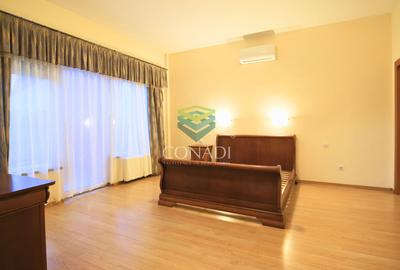 Iancu Nicolae - Vila de vanzare cu 5 camere si 1.000 Mp. de teren - 18