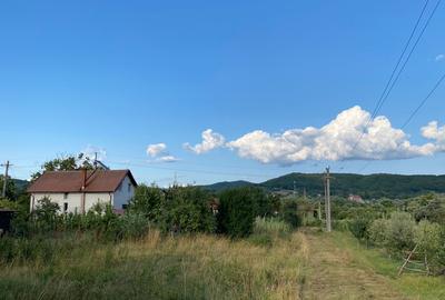Teren intravilan în zona linistita - 5