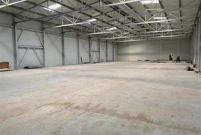 Inchiriere depozit frigorific congelare/hala/spatiu industrial Otopeni - Centura - 1