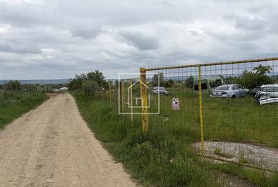 Teren cu autorizație construire hală în Poplaca - 2