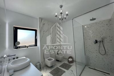Duplex de lux, complet mobilat, in Dumbravita - 9