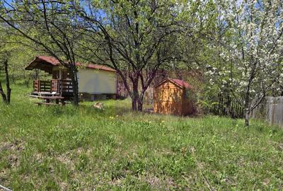 Teren cu Casuta de lemn in Sotrile (langă Valea Doftanei) - 1