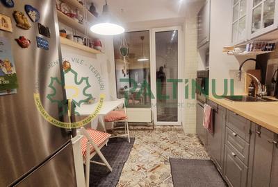 Apartament 2 camere cu balcon, renovat complet, Terezian - 7
