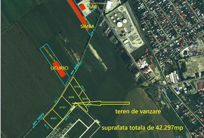 Teren intravilan 43.000 mp - deschidere 356 ml - Exclusiv PROHOUSE - 1
