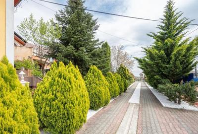 Complex turistic pe un domeniu de 5.375 mp | Sânmartin - 2