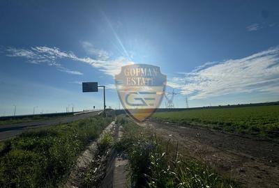 Poiana, A4 17000 mp sensul giratoriu Poiana - Stațiunea Mamaia - 10
