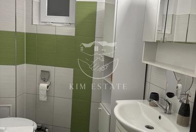 Apartament 2 camere de inchiriat, zona Vivo Mall - 9