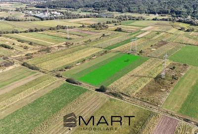 Teren agricol extravilan de 5000 mp, în Șelimbăr