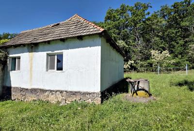 Casa de vanzare si teren de 24000 mp in Fasca, langa padure, 45 km de Oradea - 10