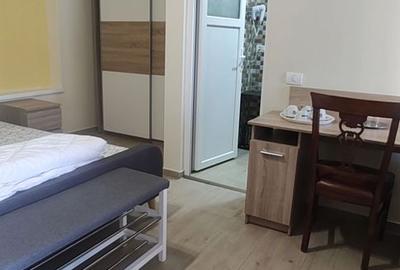 Vila / Pensiune Constanta Delfinariu 10 camere 530 mp teren - 10