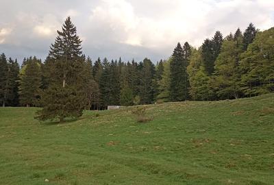 Vanzare teren 900 mp/25 ml toate utilitatile, Predeal laga Cabana Trei Brazi - 4