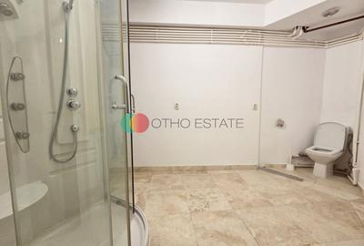 Piata Romana | Birouri - Salon infrumusetare| Ultracentral | 115 Mp - 6