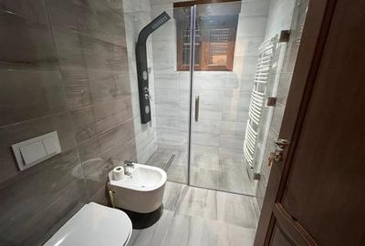 Caransebes, Casa Noua+Teren 600mp Racovita - 15