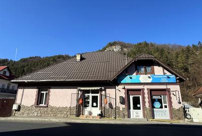 CASA in  BRAN, ZONA CENTRALA, DN 73, 400 m distanta fata de Castel. - 14