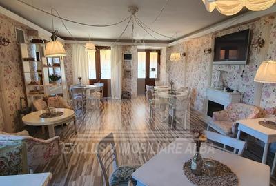 Pensiune de vanzare | 7 camere | 240 mp | Centru - 2