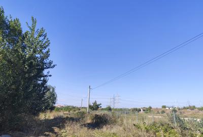 SPLAIUL UNIRII, SOSEAUA DE CENTURA, CATELU - 2