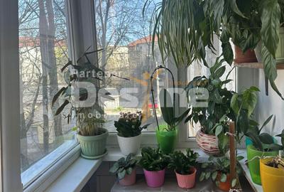 Apartament 2 camere, zona excelenta, Calea Aradului, Timisoara - 13